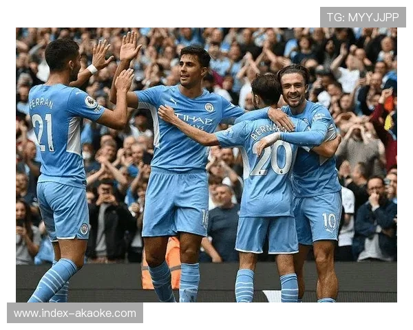 埃尔切主场草皮质量获好评，技术型球队得以发挥传控优势